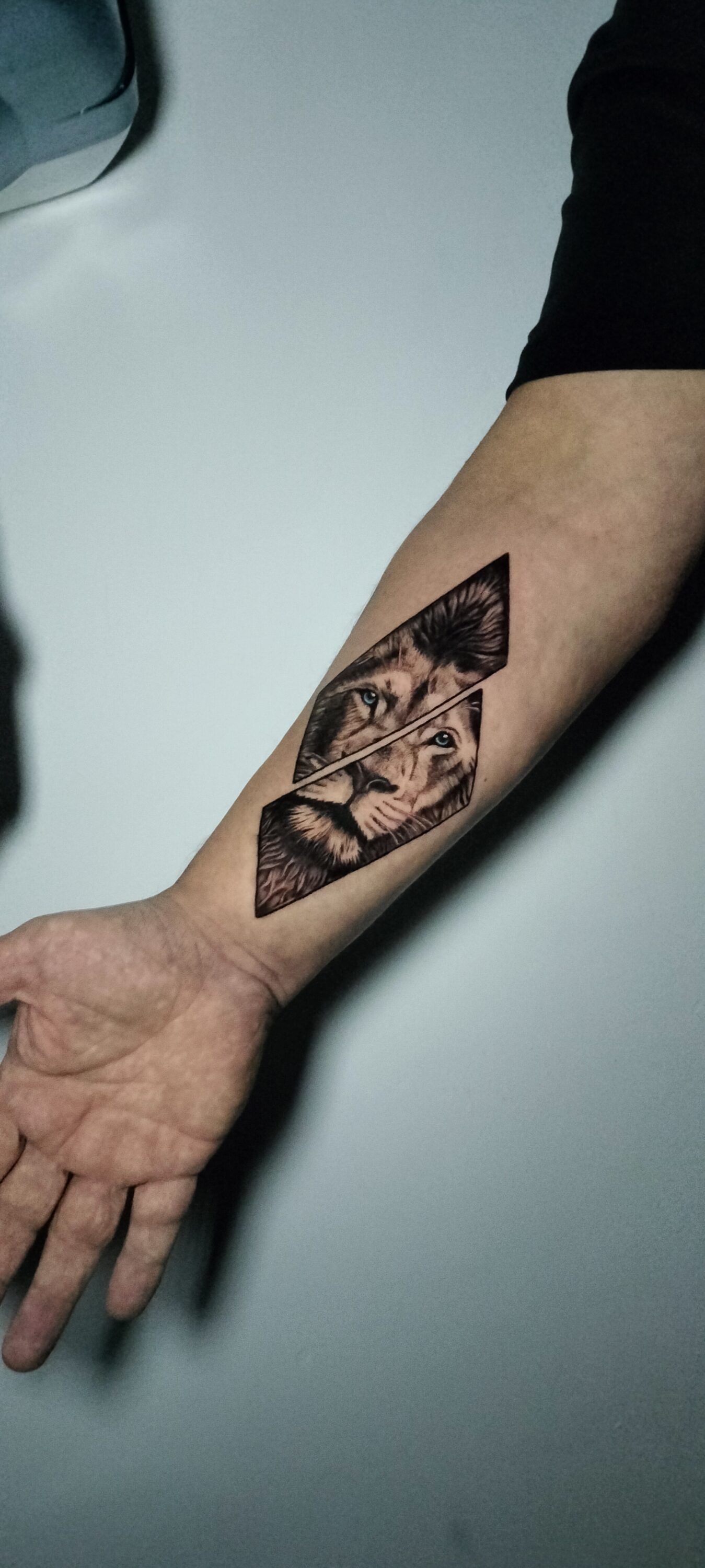 tatuaje-leon-geometrico elegir-diseño-tatuaje